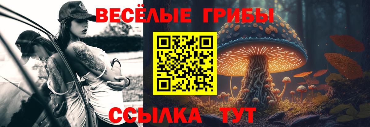 Самара  Галлюциногенные грибы мицелий  Вход с VPN  Псилоцибиновые грибы мицелий 